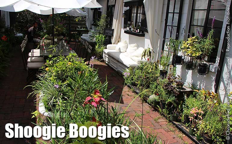 TOWLES-COURT_SHOOGIE- garden (Photo ChronicleFred)